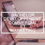 Bachelor Développement Commercial et Marketing
